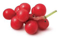 Schisandra Berries